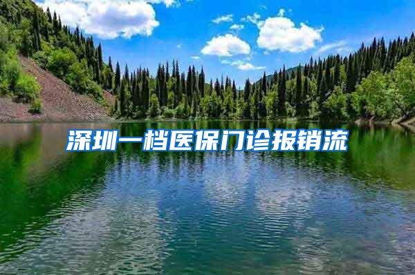 深圳一档医保门诊报销流