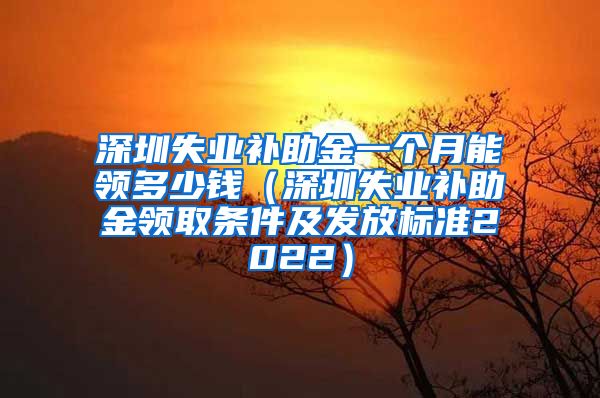 深圳失业补助金一个月能领多少钱（深圳失业补助金领取条件及发放标准2022）