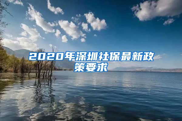 2020年深圳社保最新政策要求