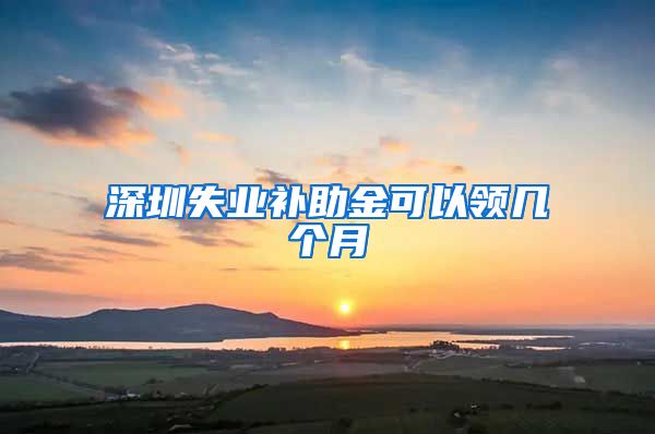 深圳失业补助金可以领几个月