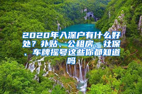 2020年入深户有什么好处？补贴、公租房、社保、车牌摇号这些你都知道吗