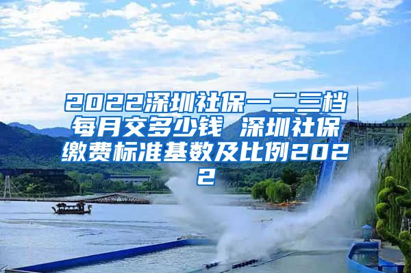 2022深圳社保一二三档每月交多少钱 深圳社保缴费标准基数及比例2022