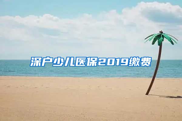 深户少儿医保2019缴费