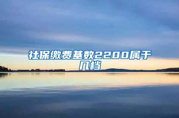 社保缴费基数2200属于几档