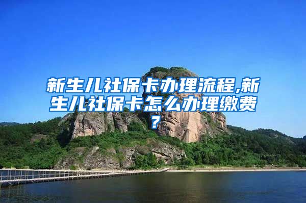 新生儿社保卡办理流程,新生儿社保卡怎么办理缴费？