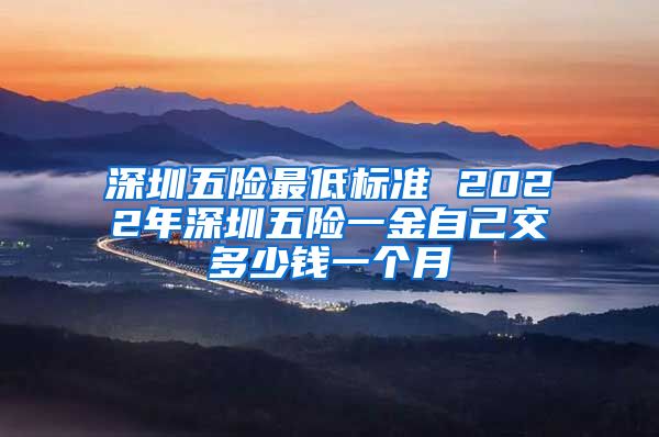 深圳五险最低标准 2022年深圳五险一金自己交多少钱一个月