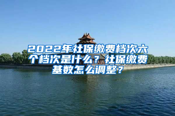 2022年社保缴费档次六个档次是什么？社保缴费基数怎么调整？