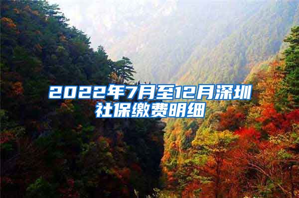 2022年7月至12月深圳社保缴费明细