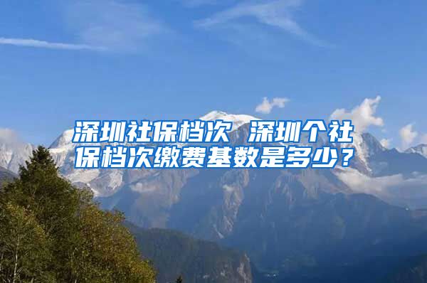 深圳社保档次 深圳个社保档次缴费基数是多少？