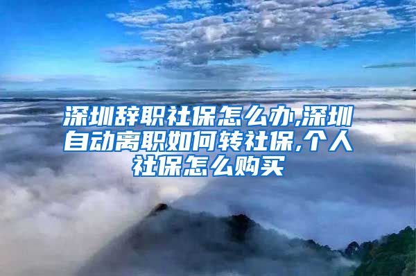 深圳辞职社保怎么办,深圳自动离职如何转社保,个人社保怎么购买