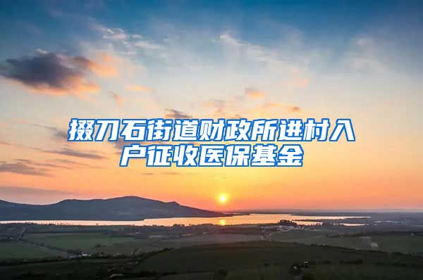 掇刀石街道财政所进村入户征收医保基金