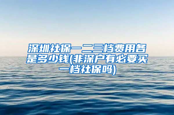 深圳社保一二三档费用各是多少钱(非深户有必要买一档社保吗)