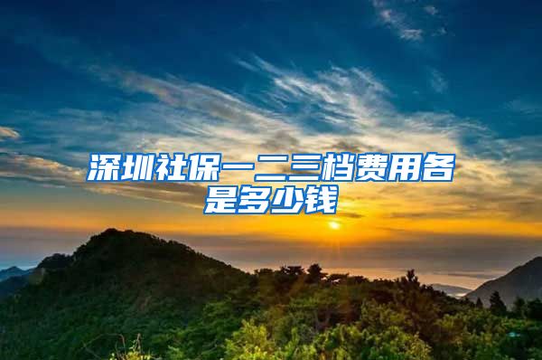 深圳社保一二三档费用各是多少钱