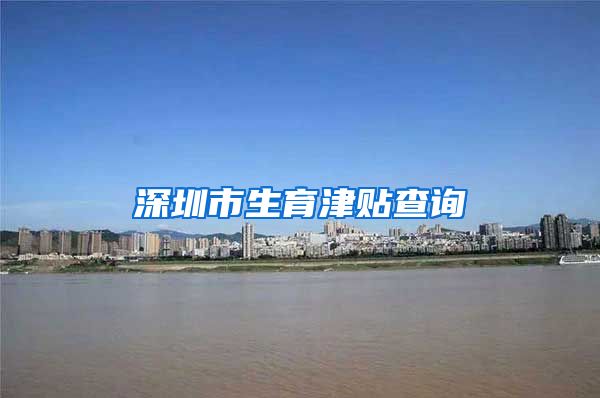 深圳市生育津贴查询