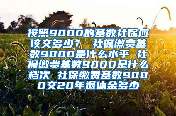 按照9000的基数社保应该交多少？ 社保缴费基数9000是什么水平 社保缴费基数9000是什么档次 社保缴费基数9000交20年退休金多少