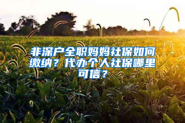 非深户全职妈妈社保如何缴纳？代办个人社保哪里可信？