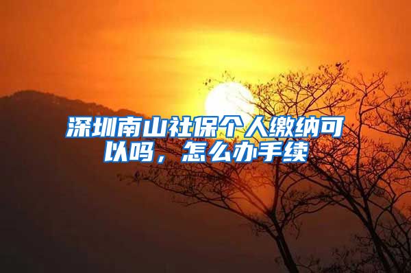 深圳南山社保个人缴纳可以吗，怎么办手续