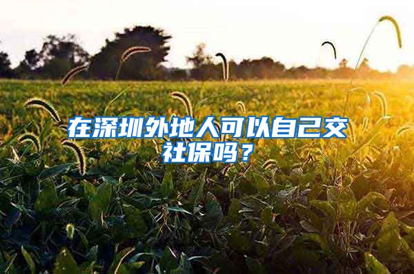 在深圳外地人可以自己交社保吗？