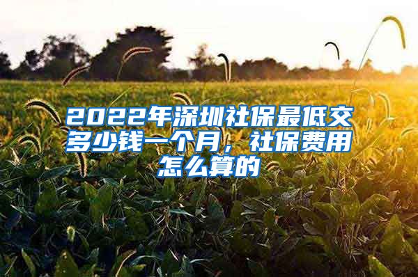 2022年深圳社保最低交多少钱一个月，社保费用怎么算的