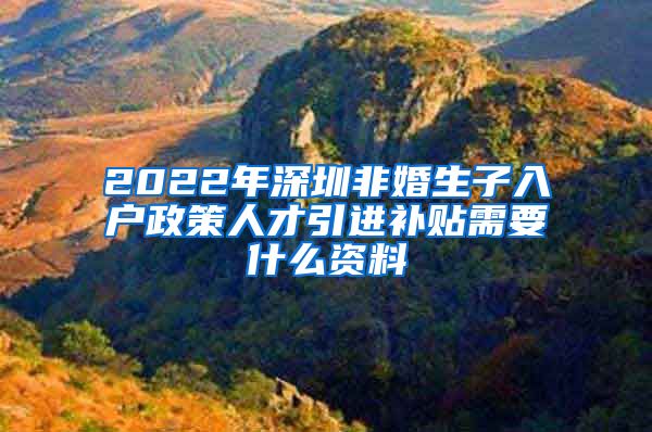 2022年深圳非婚生子入户政策人才引进补贴需要什么资料