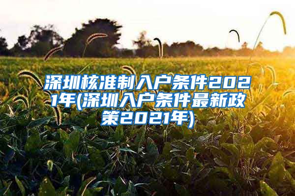 深圳核准制入户条件2021年(深圳入户条件最新政策2021年)