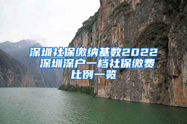 深圳社保缴纳基数2022 深圳深户一档社保缴费比例一览