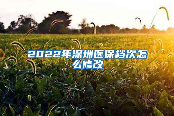 2022年深圳医保档次怎么修改