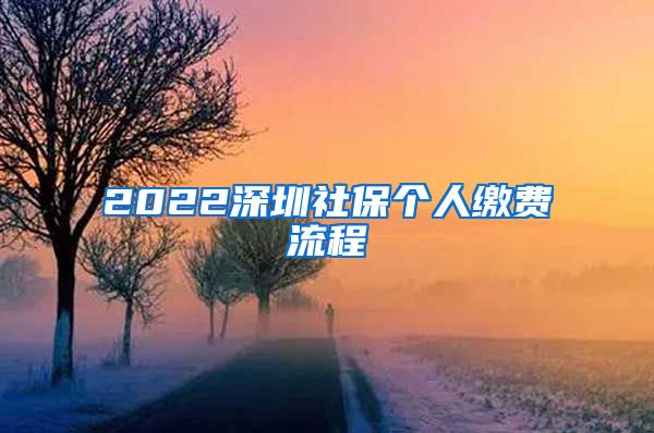 2022深圳社保个人缴费流程