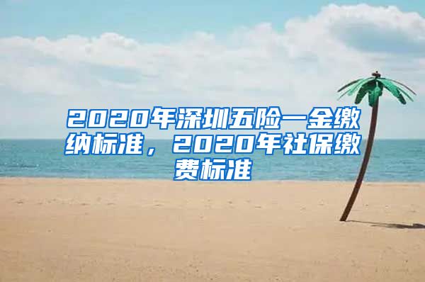 2020年深圳五险一金缴纳标准，2020年社保缴费标准