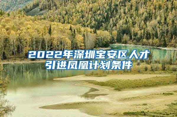 2022年深圳宝安区人才引进凤凰计划条件