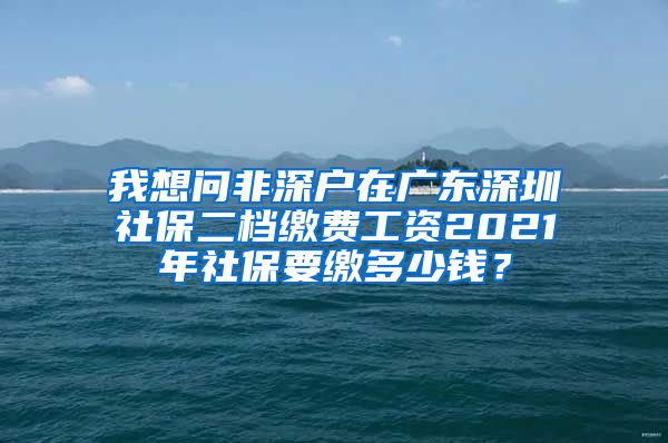 我想问非深户在广东深圳社保二档缴费工资2021年社保要缴多少钱？