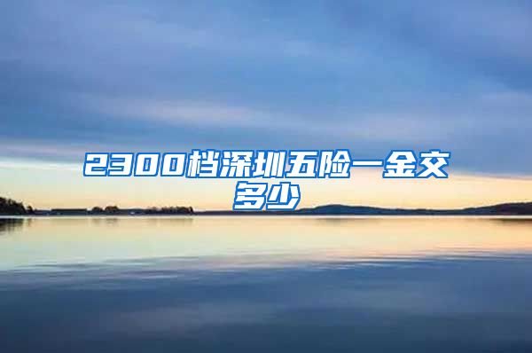 2300档深圳五险一金交多少