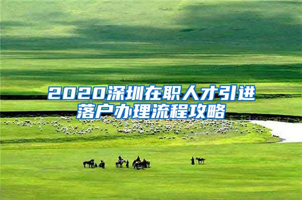 2020深圳在职人才引进落户办理流程攻略