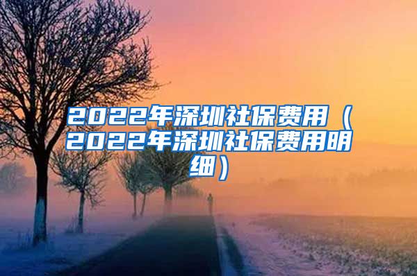 2022年深圳社保费用（2022年深圳社保费用明细）