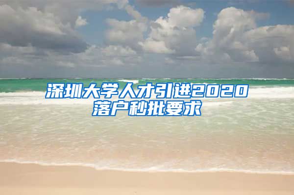 深圳大学人才引进2020落户秒批要求