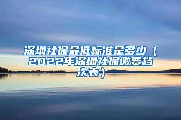 深圳社保最低标准是多少（2022年深圳社保缴费档次表）