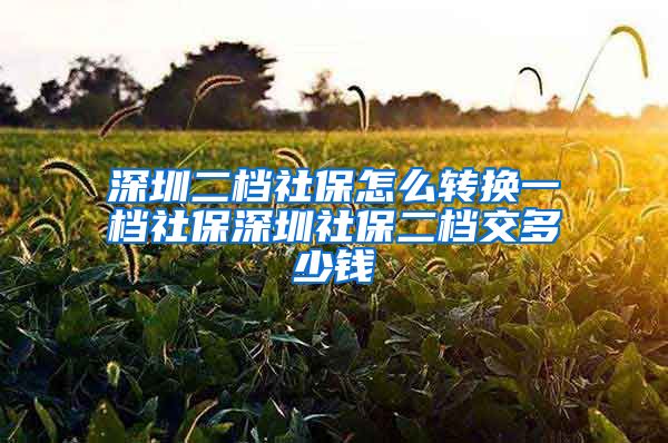 深圳二档社保怎么转换一档社保深圳社保二档交多少钱