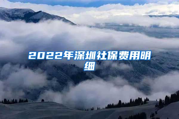 2022年深圳社保费用明细