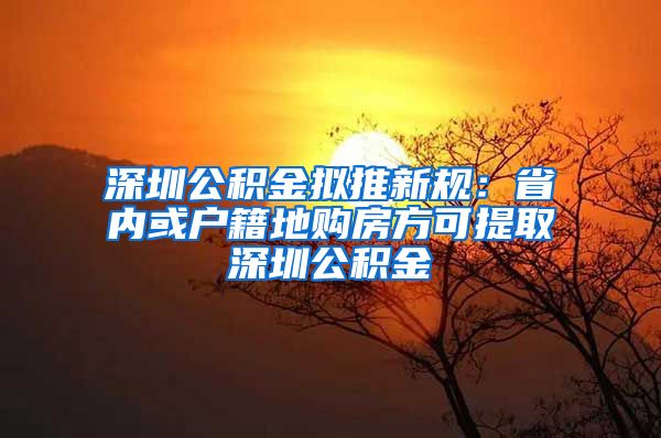 深圳公积金拟推新规：省内或户籍地购房方可提取深圳公积金