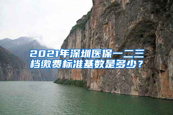 2021年深圳医保一二三档缴费标准基数是多少？