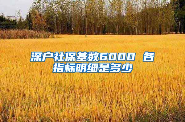 深户社保基数6000 各指标明细是多少