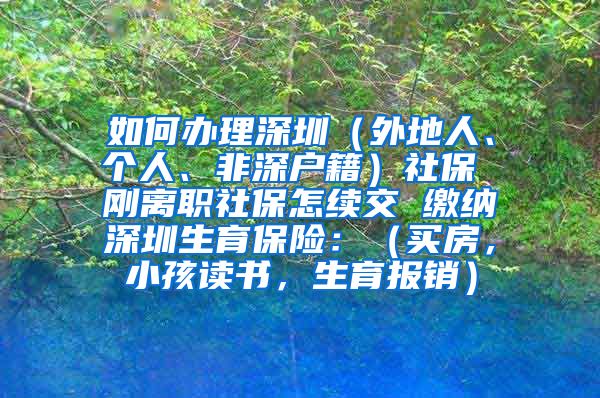 如何办理深圳（外地人、个人、非深户籍）社保 刚离职社保怎续交 缴纳深圳生育保险：（买房，小孩读书，生育报销）