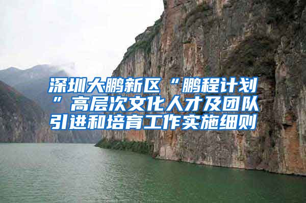 深圳大鹏新区“鹏程计划”高层次文化人才及团队引进和培育工作实施细则