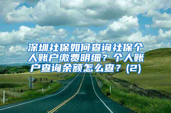 深圳社保如何查询社保个人账户缴费明细？个人账户查询余额怎么查？(2)