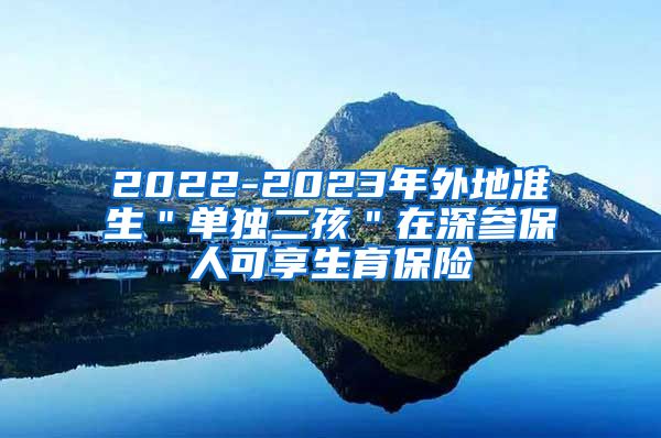 2022-2023年外地准生＂单独二孩＂在深参保人可享生育保险