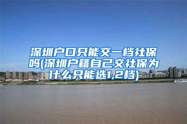 深圳户口只能交一档社保吗(深圳户籍自己交社保为什么只能选1,2档)