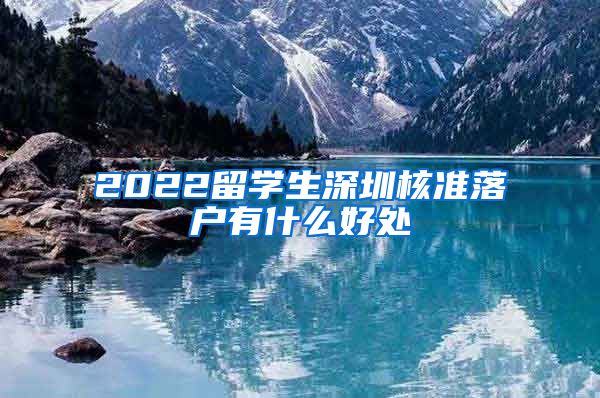 2022留学生深圳核准落户有什么好处