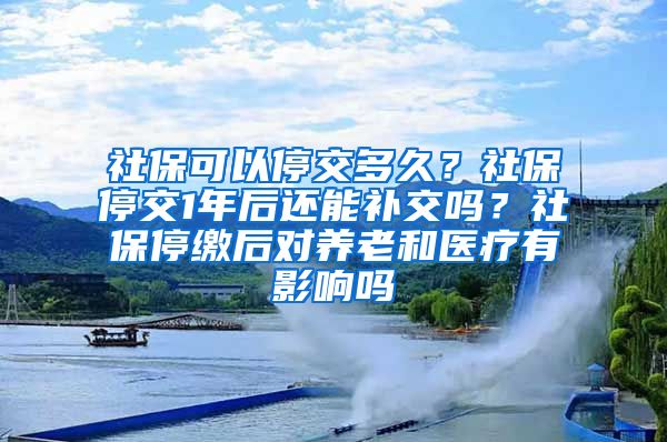 社保可以停交多久？社保停交1年后还能补交吗？社保停缴后对养老和医疗有影响吗