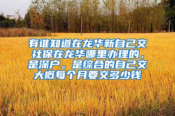 有谁知道在龙华新自己交社保在龙华哪里办理的，是深户。是综合的自己交大概每个月要交多少钱