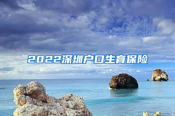 2022深圳户口生育保险